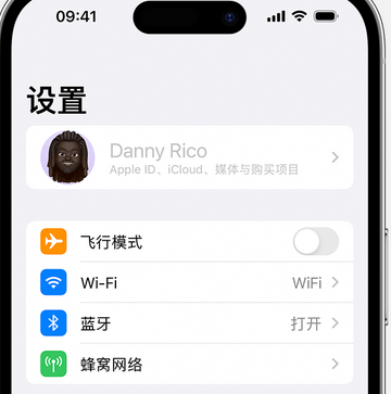 阿鲁科尔沁appleID维修服务iPhone设置中Apple ID显示为灰色无法使用