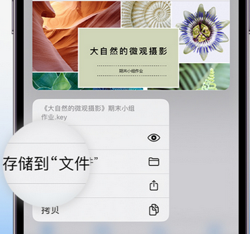 阿鲁科尔沁apple维修中心分享iPhone文件应用中存储和找到下载文件