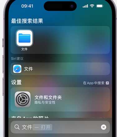 阿鲁科尔沁apple维修中心分享iPhone文件应用中存储和找到下载文件