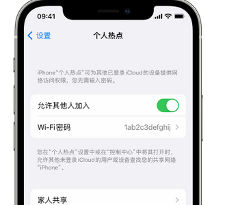 阿鲁科尔沁apple服务站点分享iPhone上个人热点丢失了怎么办 