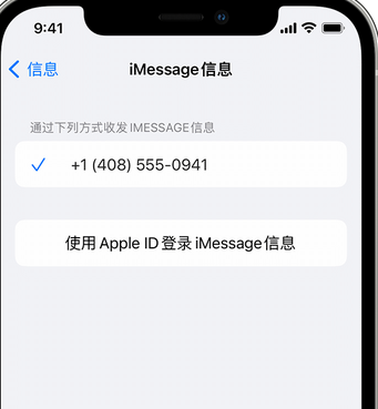 阿鲁科尔沁apple维修iPhone上无法正常发送iMessage信息 