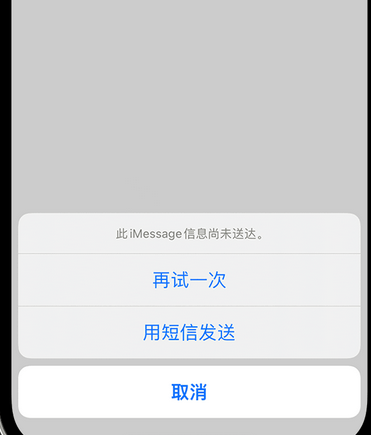 阿鲁科尔沁apple维修iPhone上无法正常发送iMessage信息