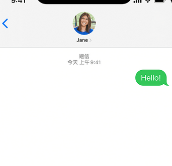 阿鲁科尔沁apple维修iPhone上无法正常发送iMessage信息