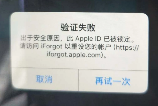 阿鲁科尔沁iPhone维修分享iPhone上正常登录或使用AppleID怎么办 