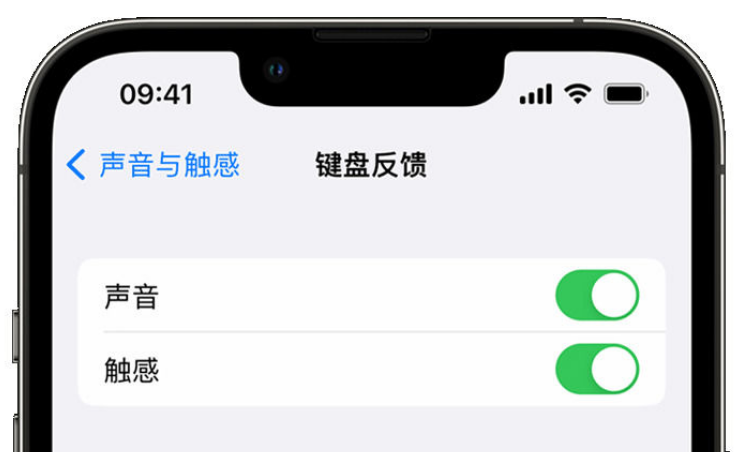 阿鲁科尔沁苹果手机维修分享iPhone 14触感键盘使用方法 