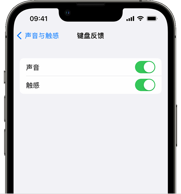 阿鲁科尔沁苹果14维修店分享如何在 iPhone 14 机型中使用触感键盘 