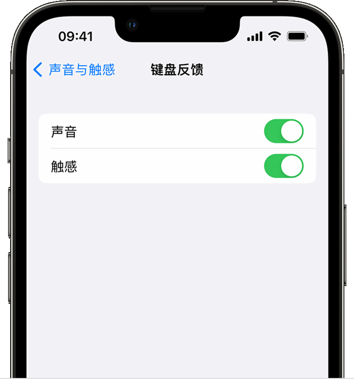 阿鲁科尔沁苹果14维修分享iPhone 14 系列机型如何开启键盘声音或触感反馈 