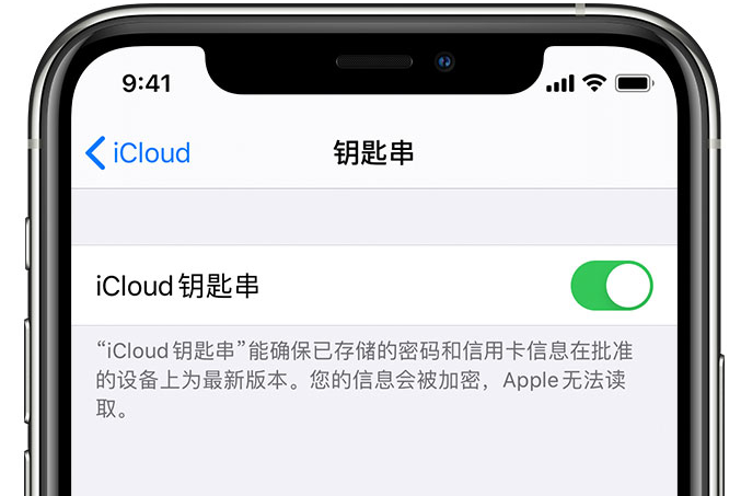 阿鲁科尔沁苹果手机维修分享在 iPhone 上开启 iCloud 钥匙串之后会储存哪些信息 