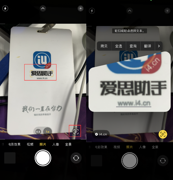 阿鲁科尔沁苹果手机维修分享升级iOS 16后如何通过相机翻译文本 