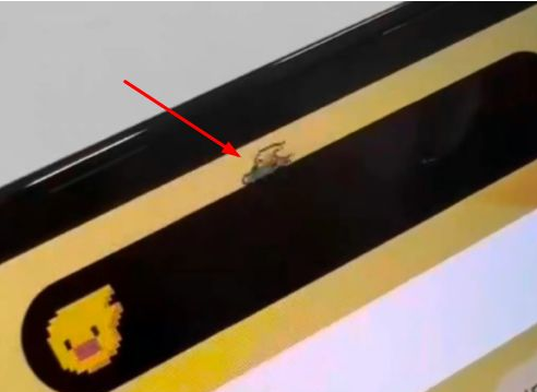 阿鲁科尔沁苹果14维修分享iPhone 14 Pro Max灵动岛怎么养宠物 
