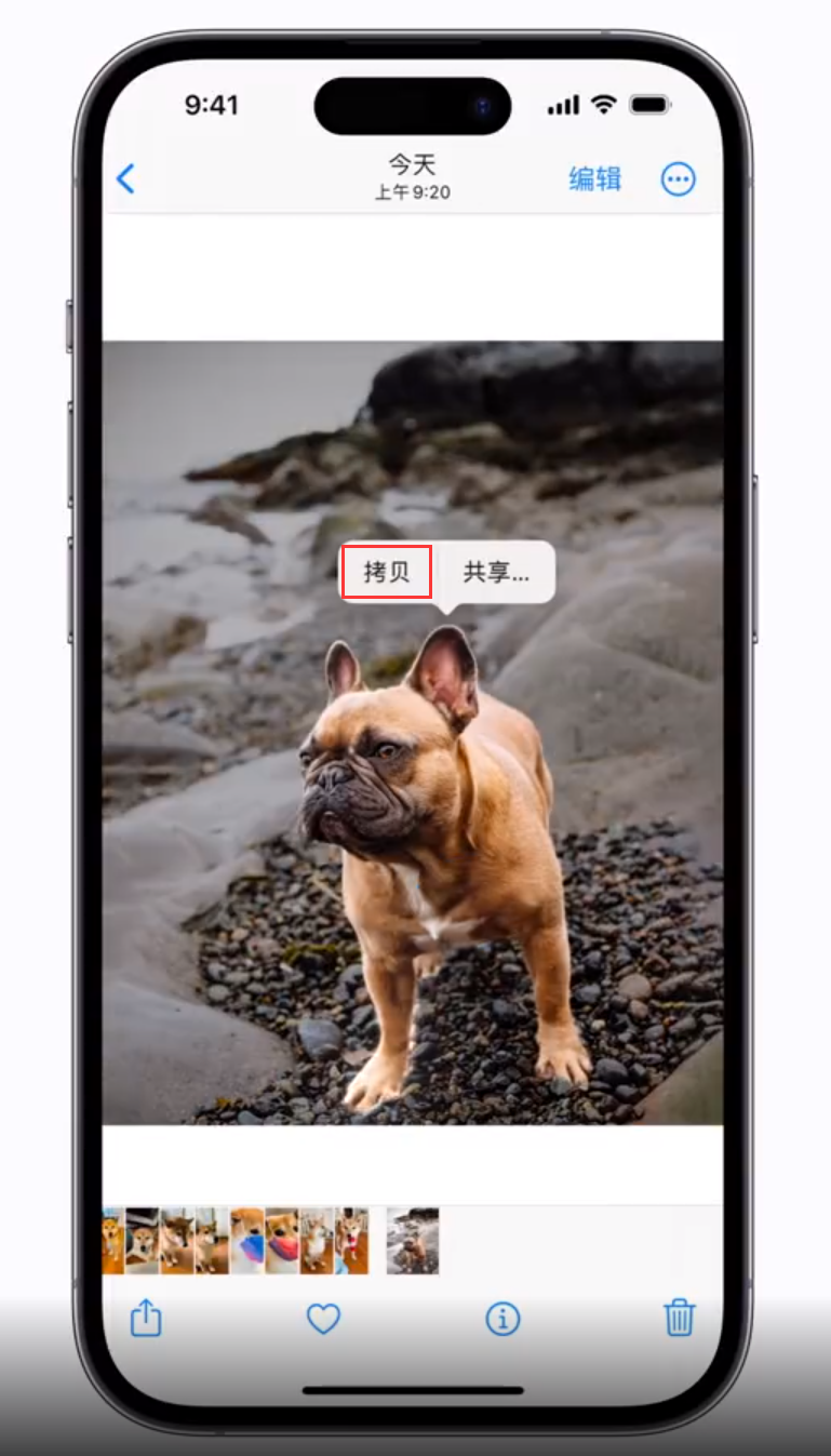 阿鲁科尔沁苹果手机维修分享 iOS 16 自带一键抠图功能 