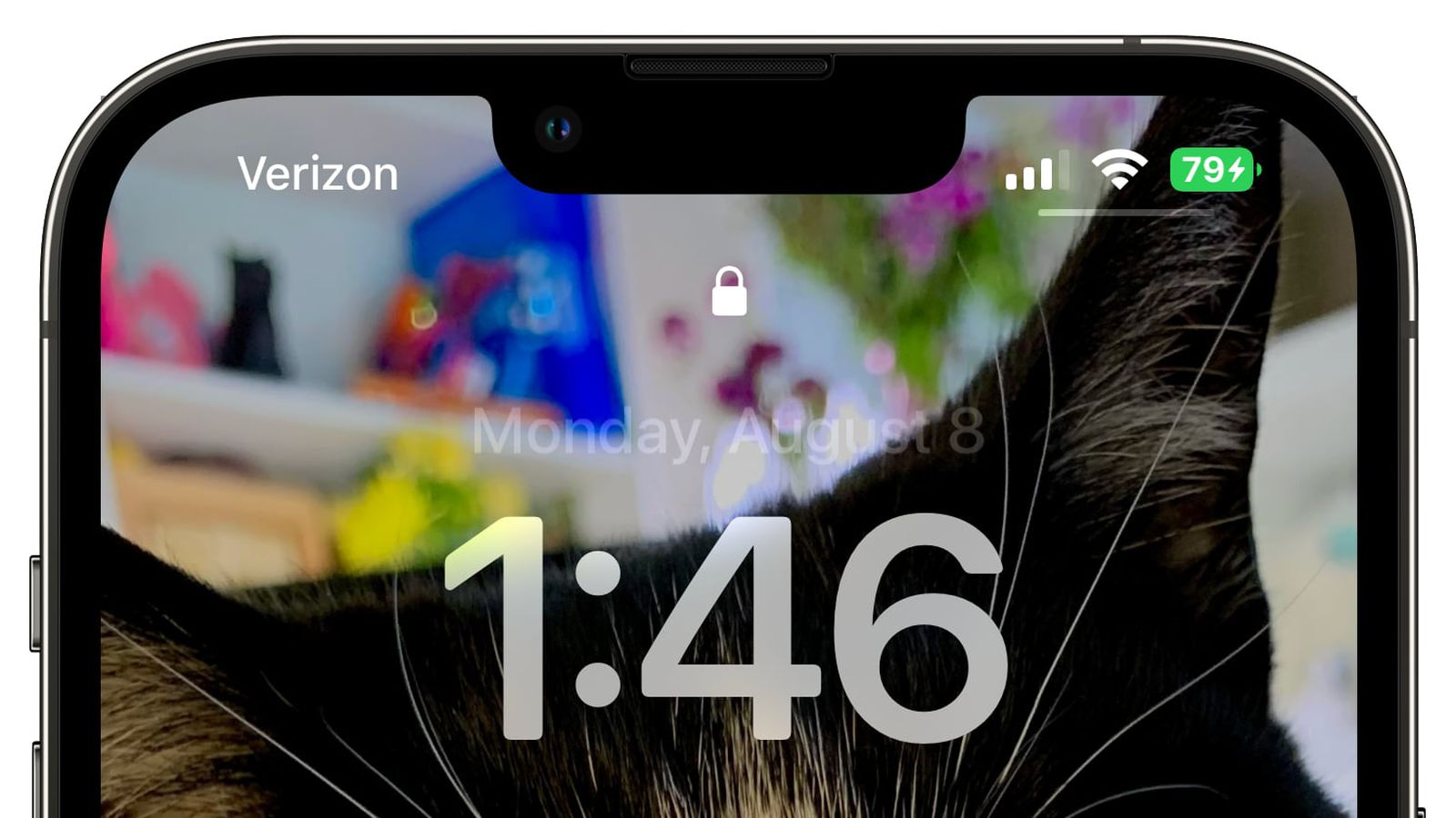 阿鲁科尔沁苹果手机维修分享iOS 16 beta 5 支持状态栏显示电池百分比，如何开启？支持哪些机型 