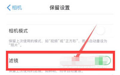 阿鲁科尔沁苹果13维修分享iPhone13拍照有绿点是怎么回事 