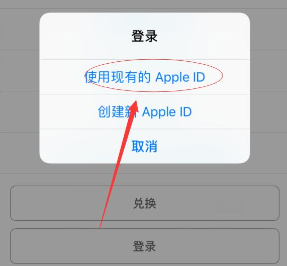 阿鲁科尔沁苹果手机维修分享两台iPhone设备可以同时登录一个Apple ID吗 