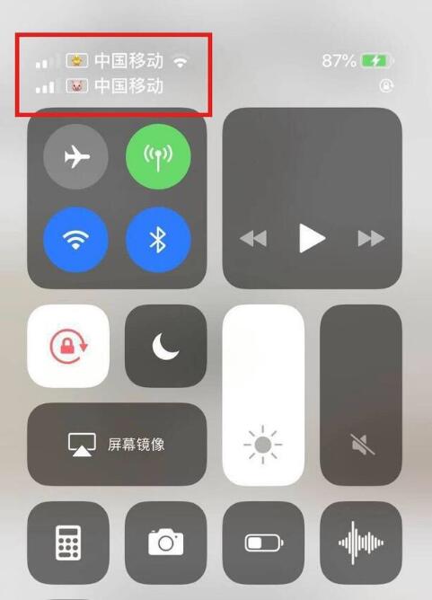 阿鲁科尔沁苹果手机维修分享为 iPhone 12 双卡设置标签 
