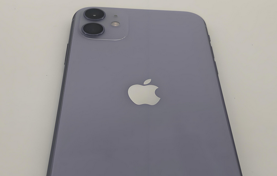 阿鲁科尔沁苹果11系统维修分享iPhone11手机系统崩溃无法开机如何解决 